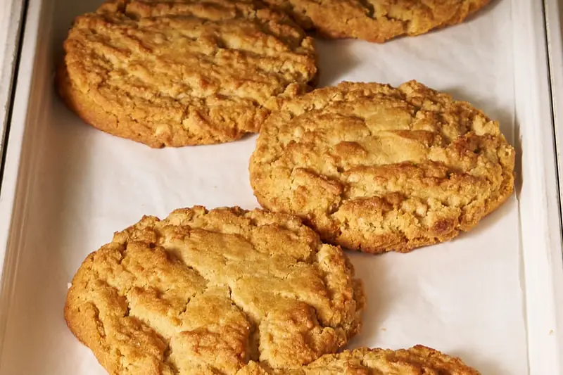 Pumpkin cookies on a tray in the bakery case